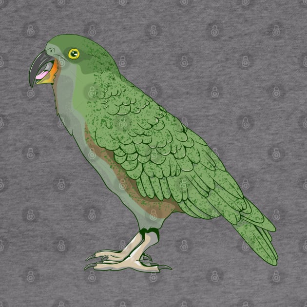 kea New Zealand Bird by mailboxdisco
